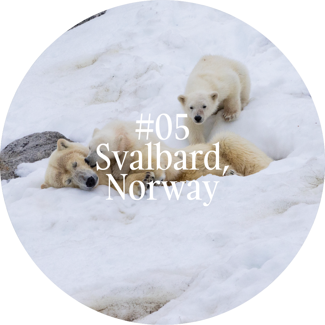 05_Travel_Diaries_Svalbard