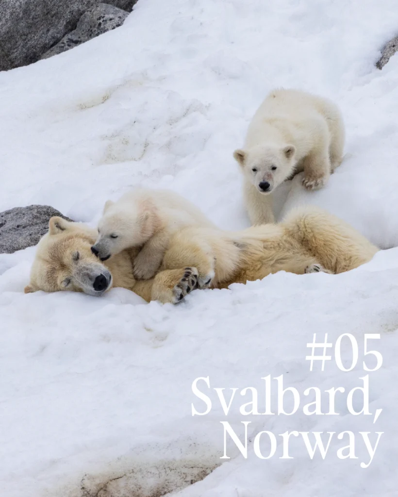 05_Travel_Diaries_Svalbard